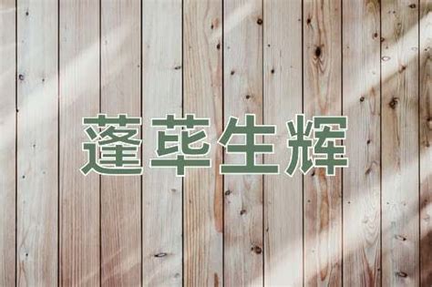 蓬蓽生輝意思|蓬荜生辉